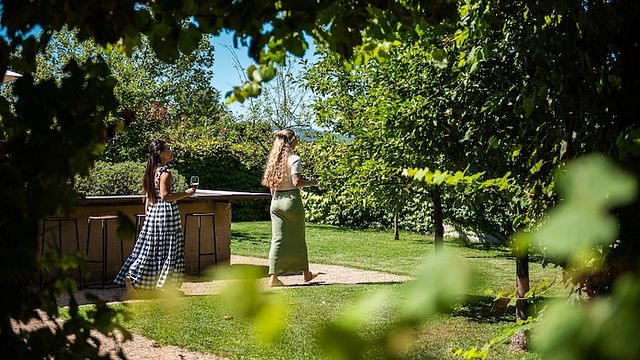 Expérience gastronomique et œnologique | Punt Road Wines
