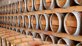 Dégustation et visite de vins au Château de Camarsac