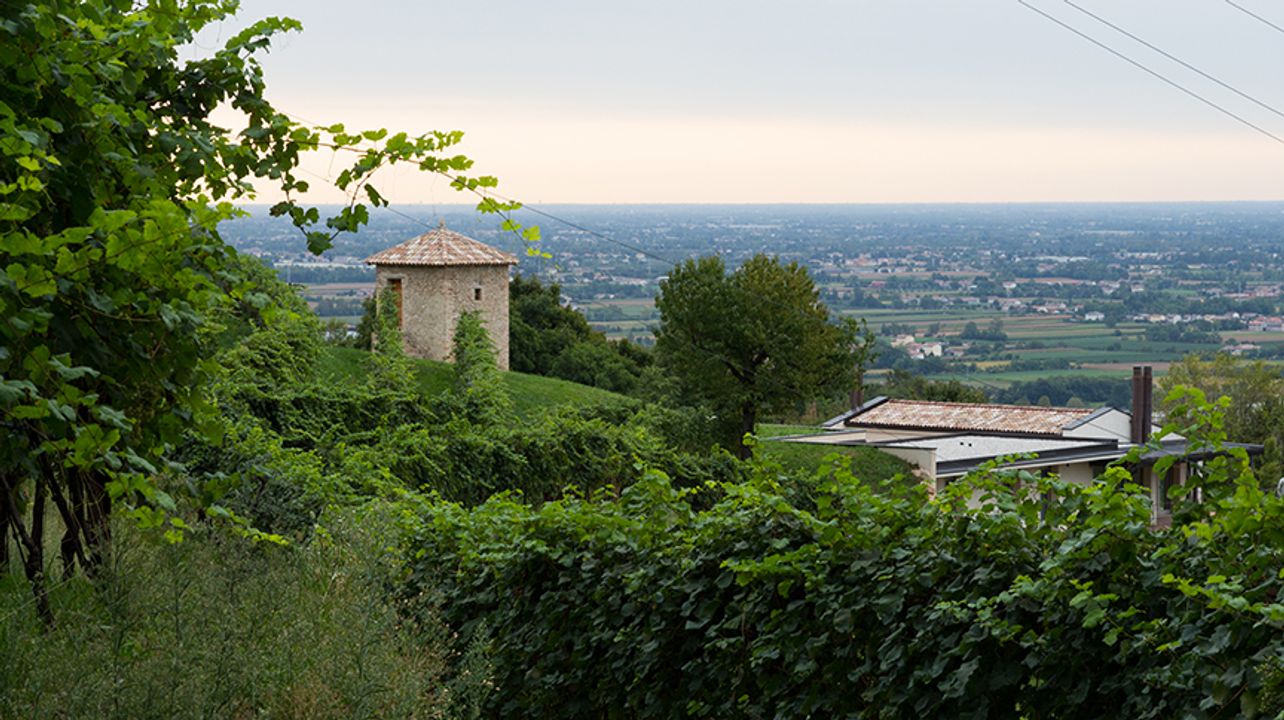Asolo Manor Società Agricola