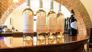Degustazione di vini abbinati alla produzione locale