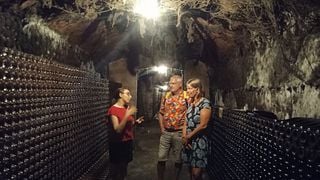Best Flavors of Bairrada (half day tour)
