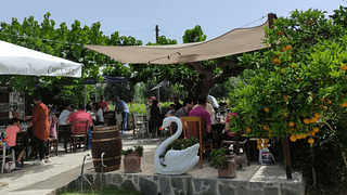 Dégustation de vins au domaine Skoumpris