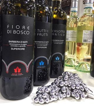 Wine Tour and Tasting at Boggero-Bogge