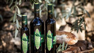 Liguria’s Organic Wine & Olive Oil Tasting at Bio Vio