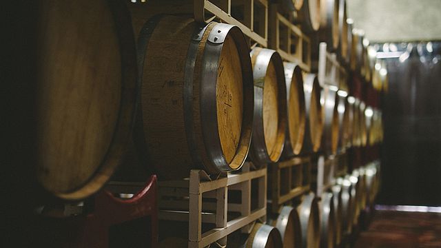 Degustazione di vini e visita al Rivero González