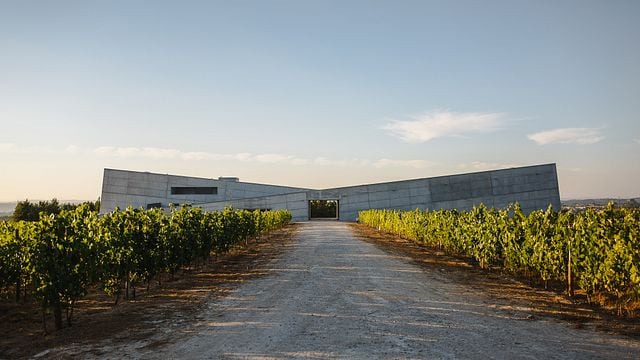 Visite du domaine et dégustation de 3 vins