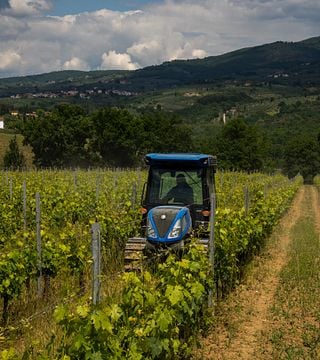 Weinprobe und Besuch des Bio-Bauernhofs Luggiano