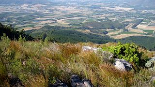 Noble Hill Wine Estate