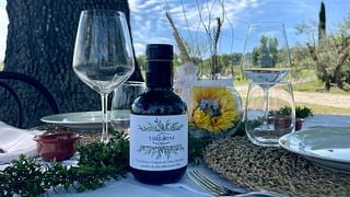 Explore Tuscan Vineyard Tour & Culinary Journey