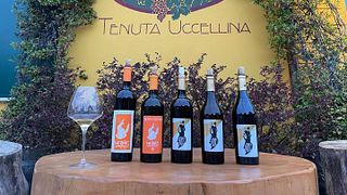 Beliebte Weinprobe und Tour im Tenuta Uccellina