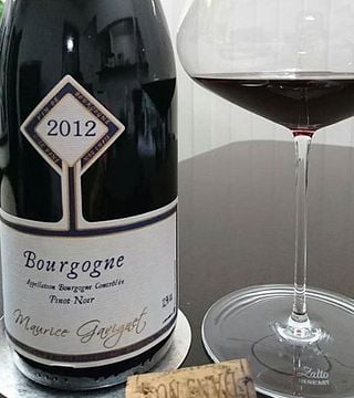 Burgundy Wine: Tasting with Gavignet
