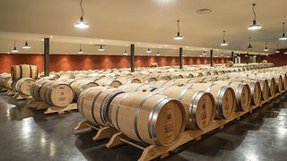Rayne Vigneau Discovery: degustação e tour de vinhos 1er Grand Cru Classé
