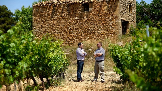 Celler Piñol