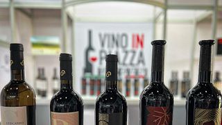 Explore Apulian Wines in an 1882 Historic Cellar