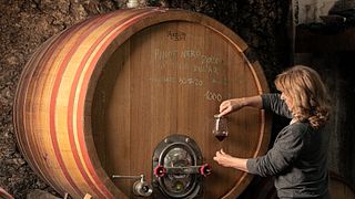 Cantina Castelsimoni