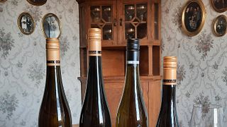 Rheingau Riesling & Vineyard Tour at Weingut Dr. Nägler