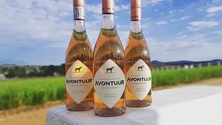 Coastal Region Wine & Cellar Tour at Avontuur Estate