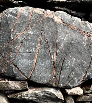 Estancia Los Cardones