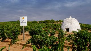 Bodegas Hnos. Pérez Pascuas - Viña Pedrosa