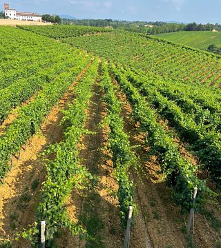 Tenuta San Lorenzo