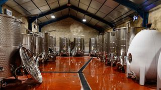 Degustazione di vini privati e tour allo Château Capion