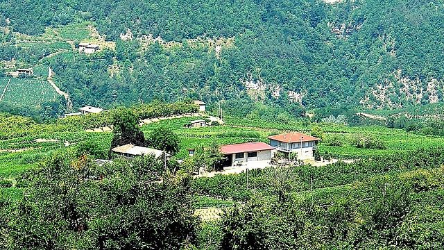 Visita y cata de vinos en Cà d'Michel
