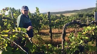 Degustação de espumantes no terraço SparkArt da vinícola Kern