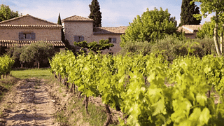 Degustazione di vini, abbinamenti di cibi locali e tour al Domaine de Mas Caron