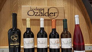 Degustazione di vini e tour alla Bodega Ozalder