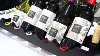 Découvrez le magnifique domaine viticole et domaine La Bri