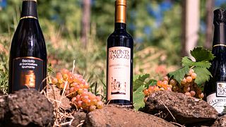 Veneto Wine & Vineyard Tour: Taste Gambellara DOCG