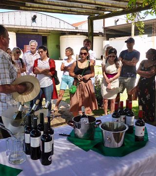 Cata de vinos y visita a la Bodega J. Chiappella