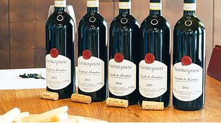 Cata de vinos y visita guiada en Mastrojanni