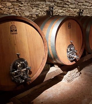 Veneto Valpolicella Wine & Vineyard Escape