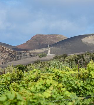 Adega do Vulcão - Adega dos Capelinhos, Faial island