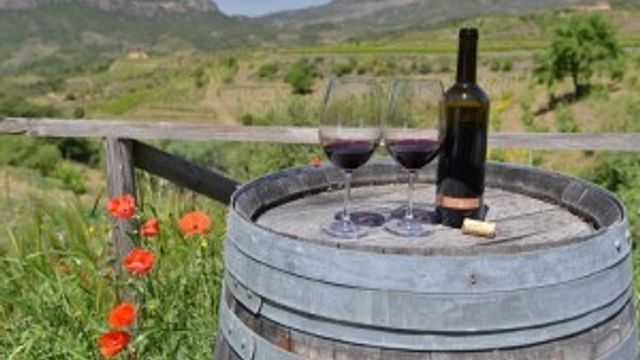 Fascinante cata de vinos y aventura en bodega en Celler Devinssi en Priorat