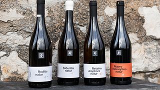 Dégustation de vins artisanaux grecs chez Satyrs « The Cellar »