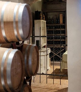 Where Chianti Meets Florence: Supertuscan Wine & Olive Oil Experience at Diadema Winery