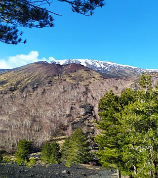 Etna Excursion with Food and Wine Tasting from Taormina and surroudings