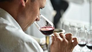 Tour del vino nel centro storico di Napoli