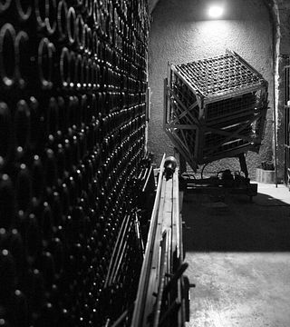 Champagne A. Leconte - Tour and tasting of 3 Champagnes