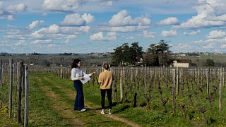 Château Balestard La Tonnelle