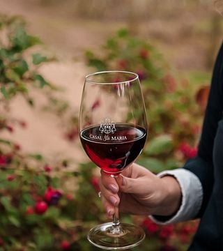 Tour del vino premium e degustazione CSM