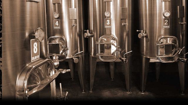 Cuyo Wine Adventure: Tasting & Vineyard Tour