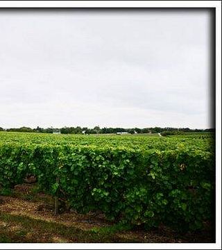 Earl Domaine Nicolas Brunet