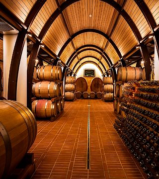Dégustation de vins et visite à la Società Agricola 'I 5inque' ss