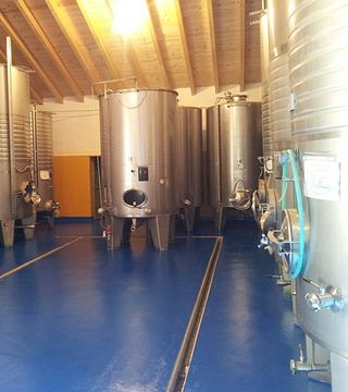 Vinprovning och rundtur på Castello di Tassarolo