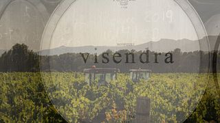 Cata de vinos en Bodegas Visendra