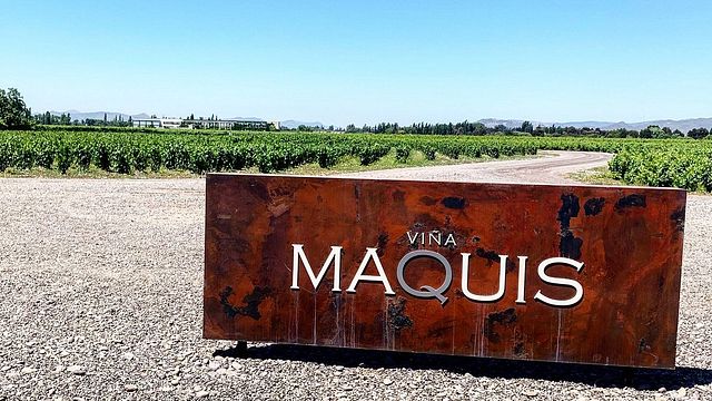 Central Valley Vineyard & Wine Discovery Tour