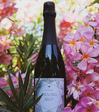 Weingut Axel Schmitt - Organic Wines